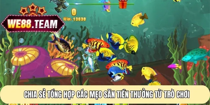 Chia sẻ tổng hợp các mẹo săn tiền thưởng từ trò chơi