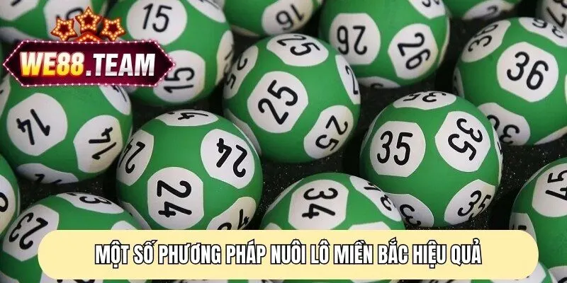 Một số phương pháp nuôi lô miền Bắc hiệu quả