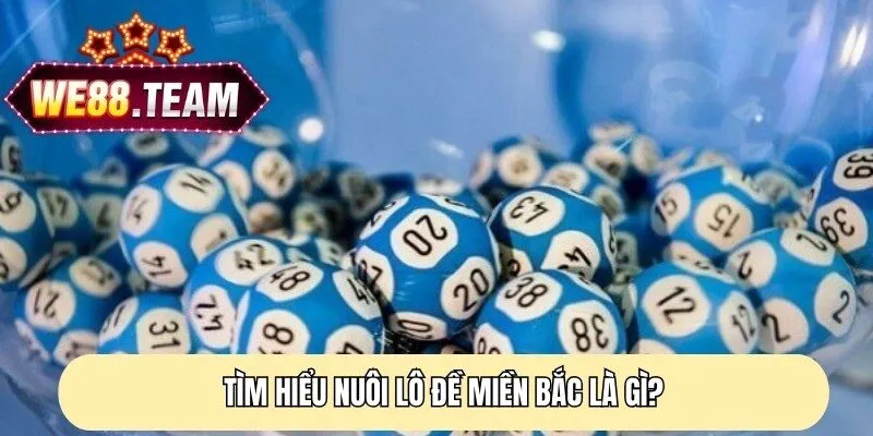 Tìm hiểu nuôi lô đề miền Bắc là gì?